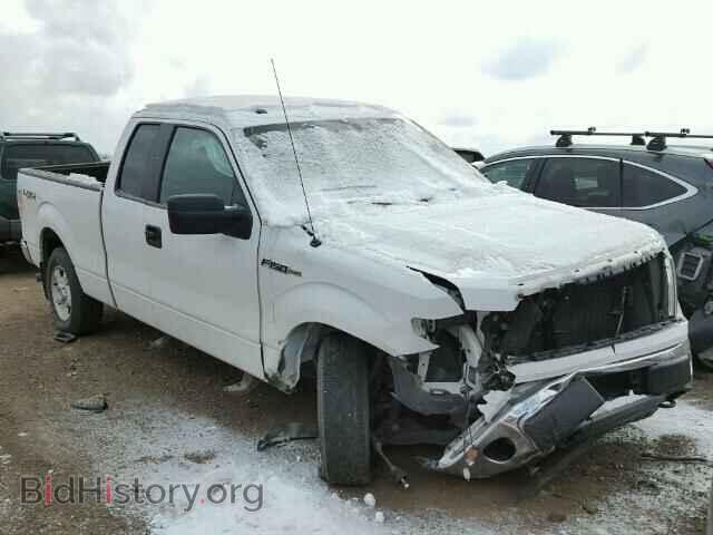 Photo 1FTFX1EF1BKD59535 - FORD F150 2011