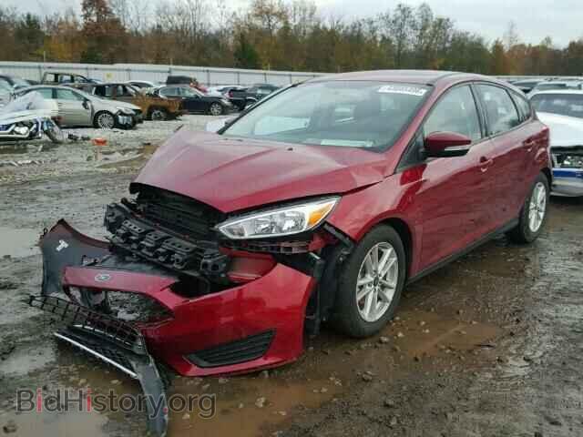 2016 FORD FOCUS - VIN: 1FADP3K2XGL313617 - Photo 2