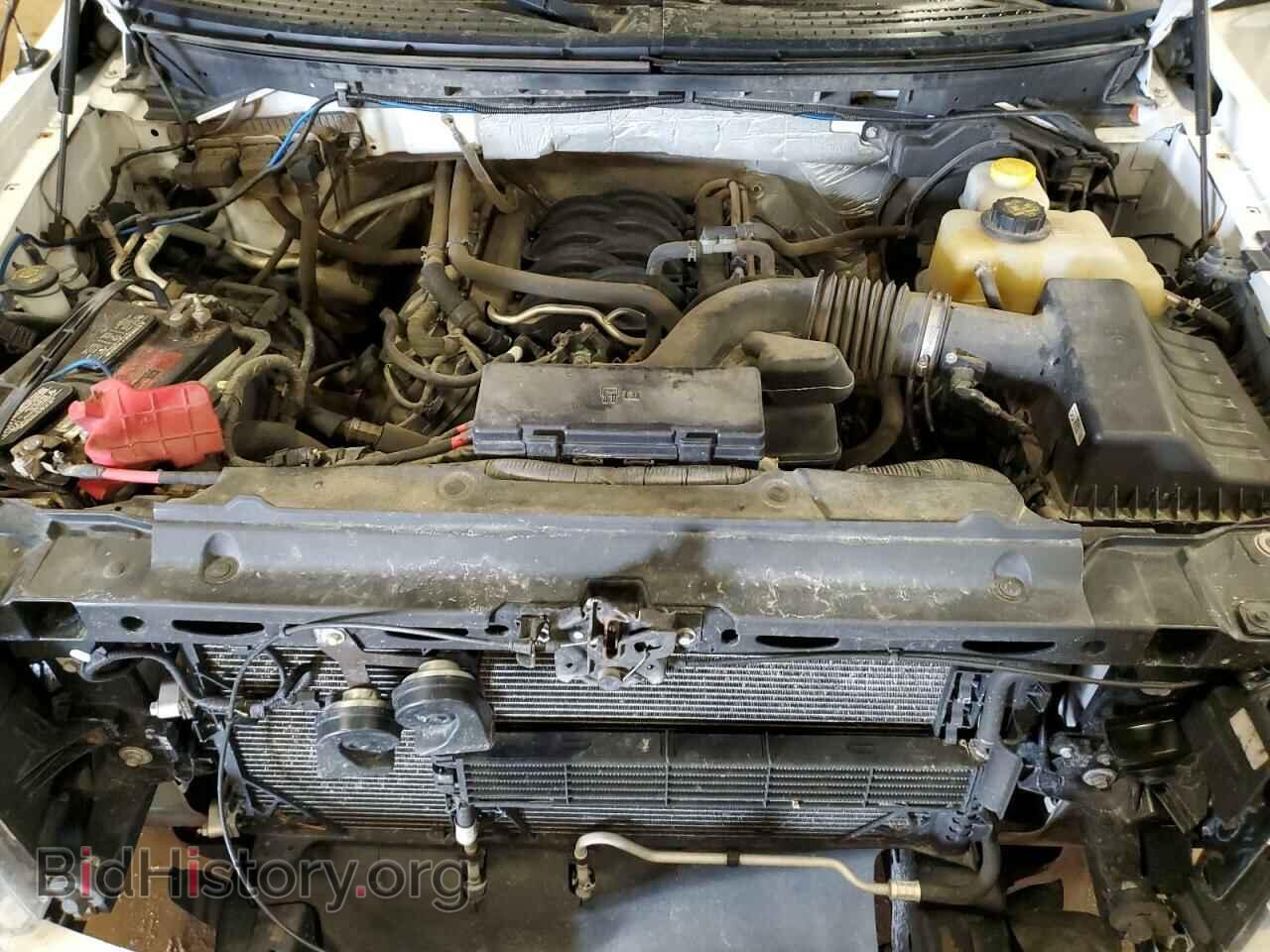 2014 FORD F-150 - VIN: 1FTFW1EF2EFB97902 - Фото 11