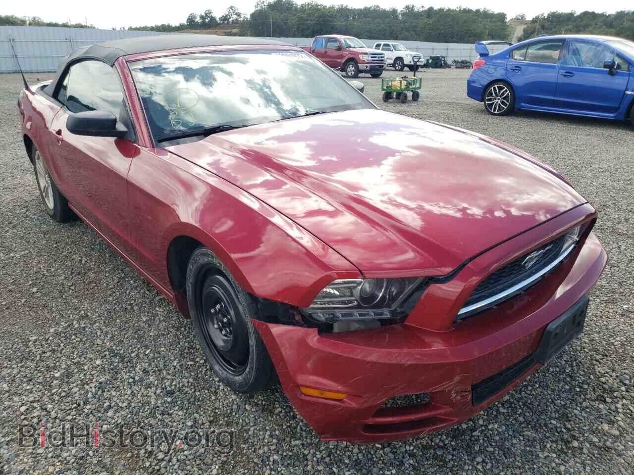 Фотография 1ZVBP8EMXD5203692 - FORD MUSTANG 2013
