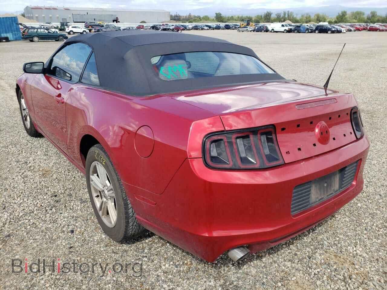 2013 FORD MUSTANG - VIN: 1ZVBP8EMXD5203692 - Фото 3