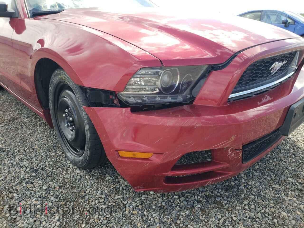 2013 FORD MUSTANG - VIN: 1ZVBP8EMXD5203692 - Фото 9