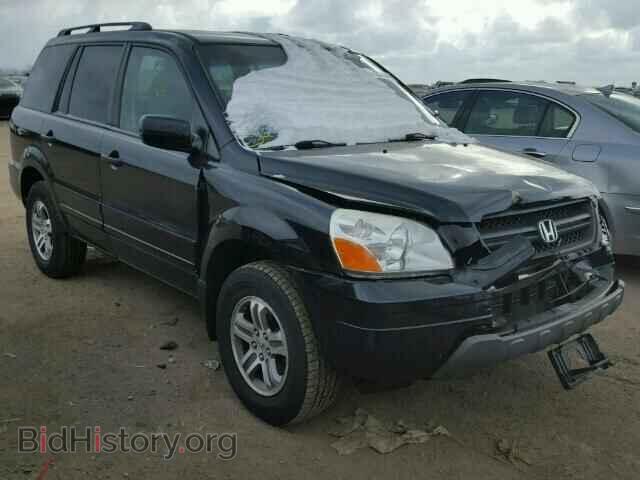 Фотография 5FNYF18475B061336 - HONDA PILOT 2005