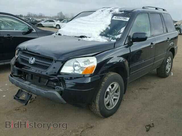 2005 HONDA PILOT - VIN: 5FNYF18475B061336 - Фото 2