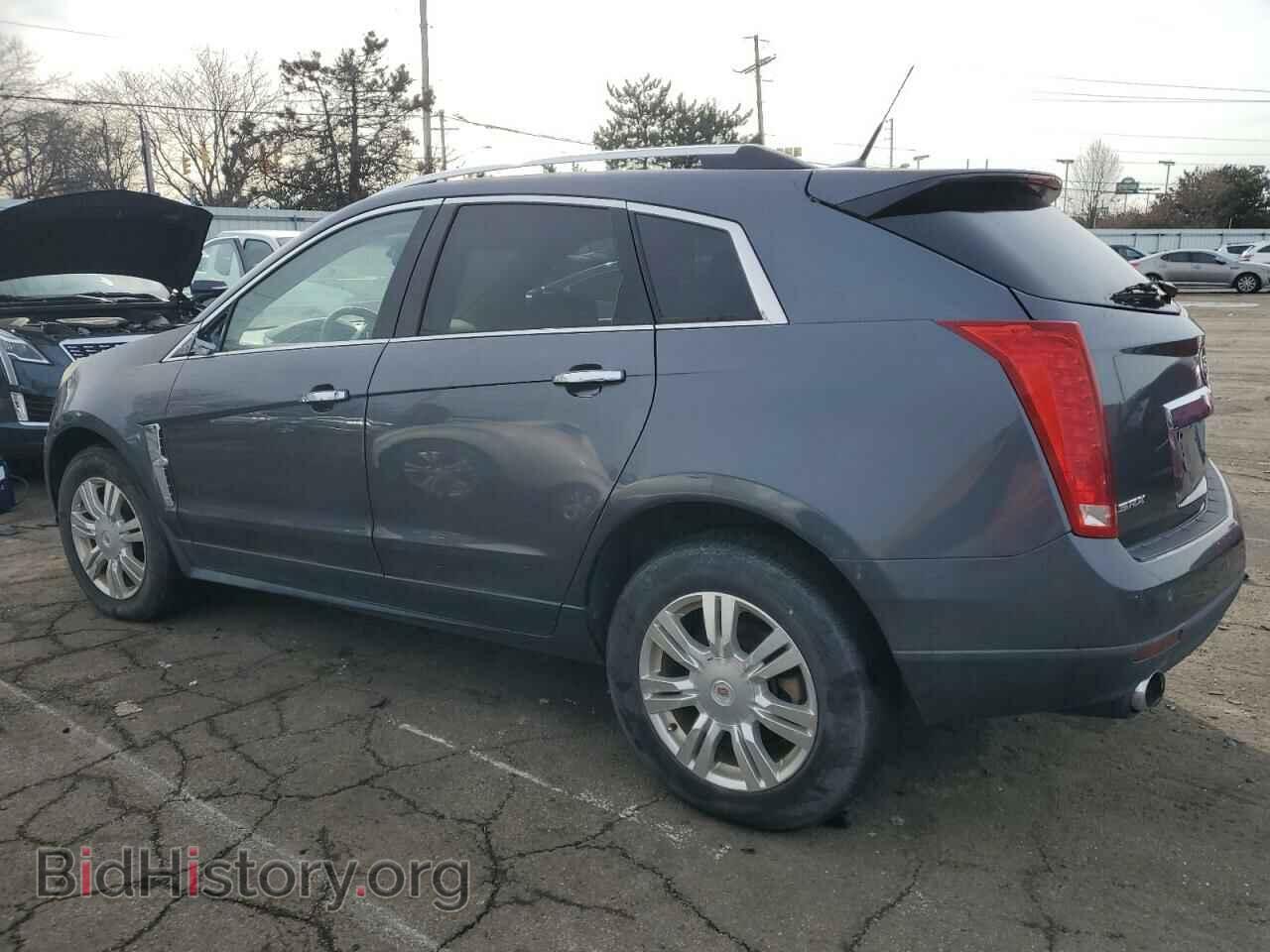 2010 CADILLAC SRX - VIN: 3GYFNAEY6AS565387 - Фото 2