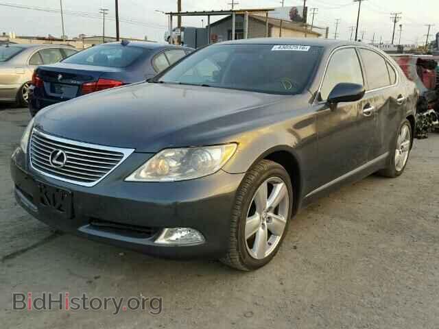 2009 LEXUS LS460 - VIN: JTHBL46F595086682 - Фото 2