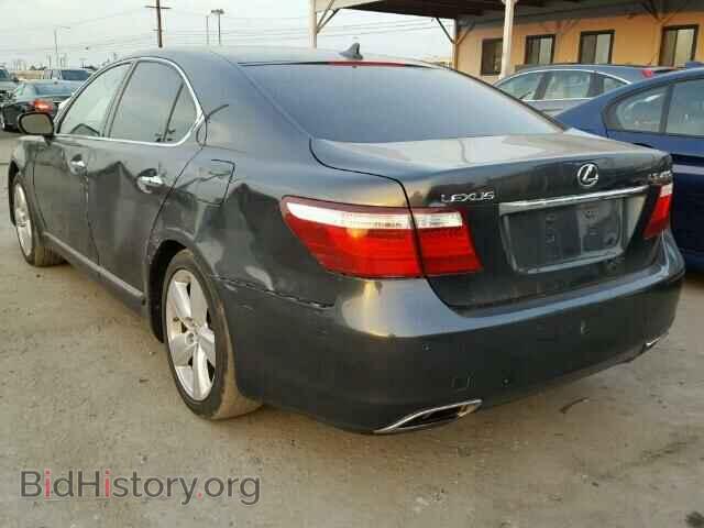 2009 LEXUS LS460 - VIN: JTHBL46F595086682 - Фото 3