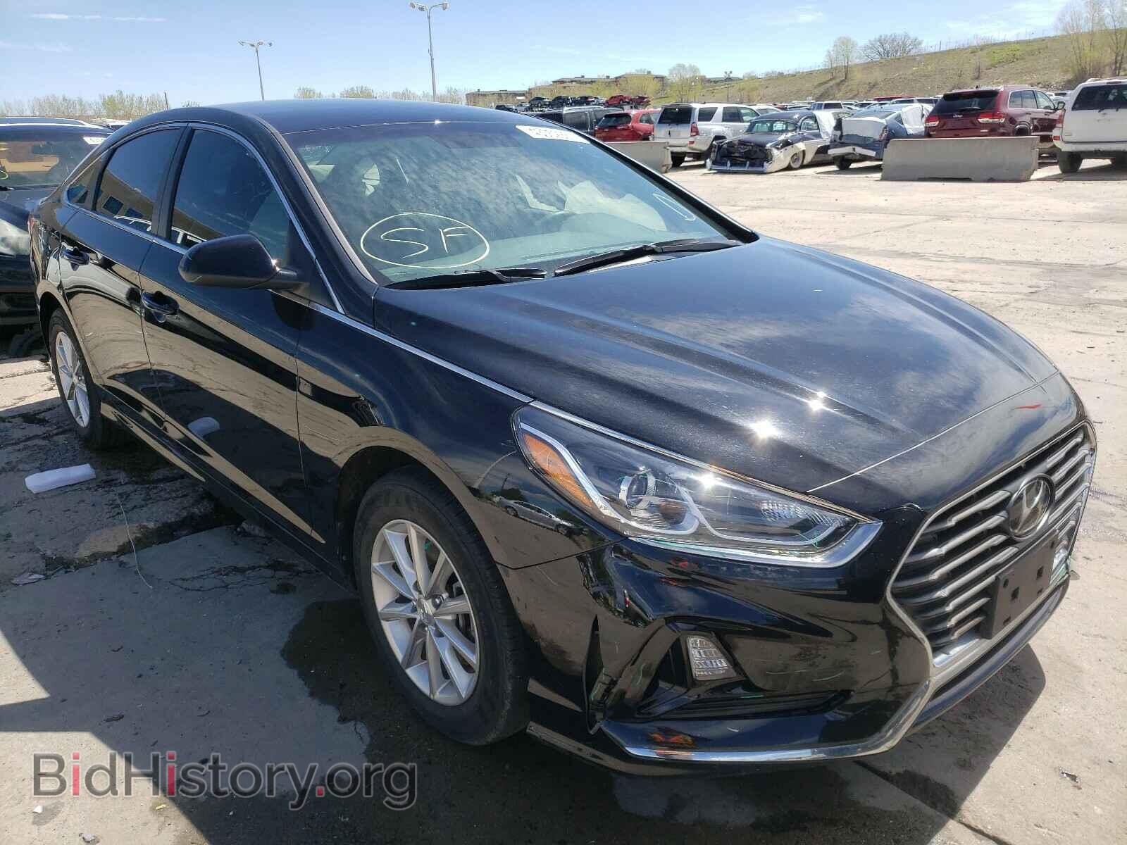 Photo 5NPE24AF3KH817558 - HYUNDAI SONATA 2019