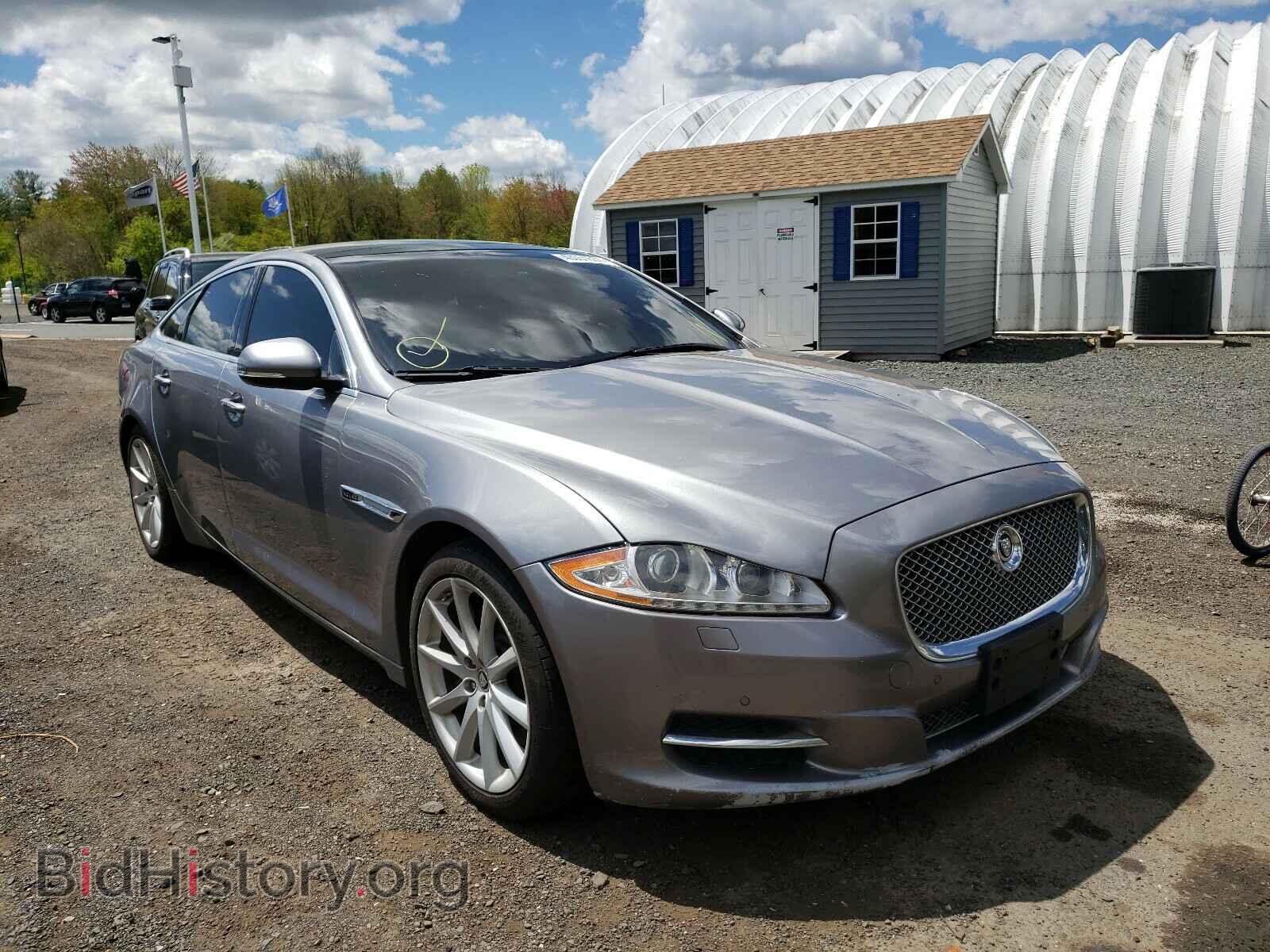 Фотография SAJWJ1CD7D8V50106 - JAGUAR XJ 2013