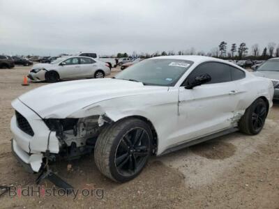 2015 Ford ALL MODELS, white — VIN 1FA6P8TH2F5338782, Copart