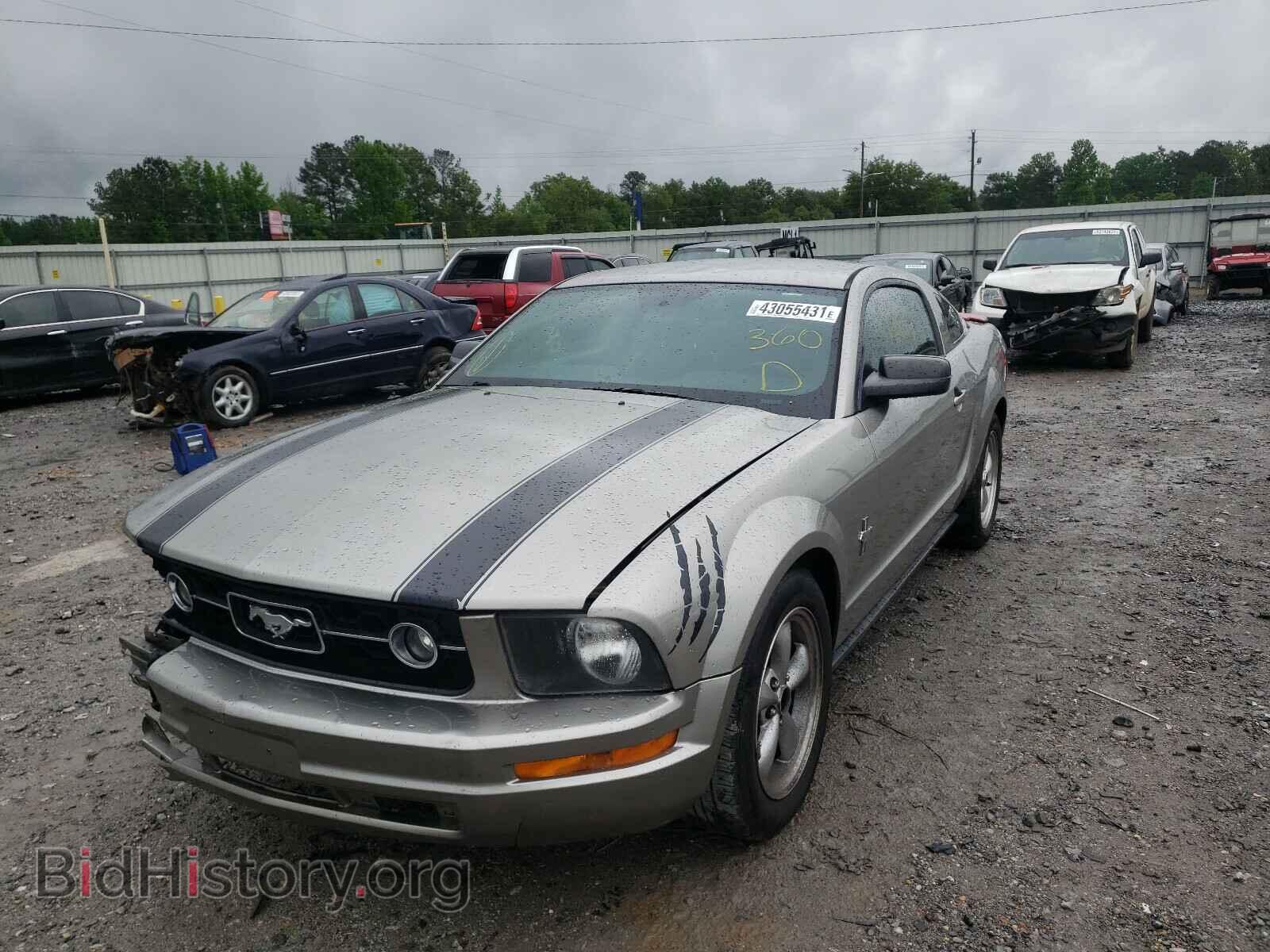 2008 FORD MUSTANG - VIN: 1ZVHT80N585155014 - Фото 2