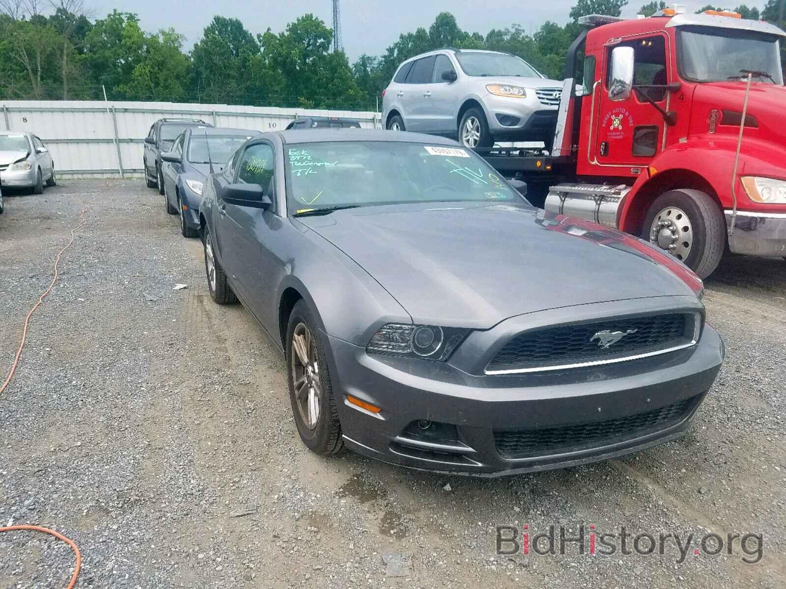 Photo 1ZVBP8AM5D5254121 - FORD MUSTANG 2013