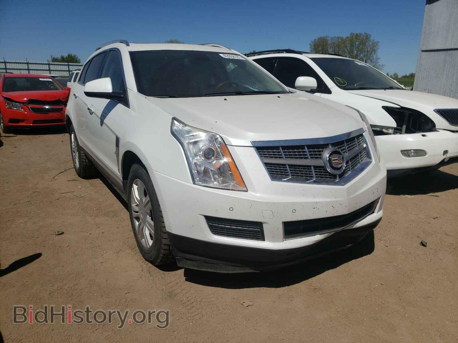 Photo 3GYFNDEY3BS513931 - CADILLAC SRX 2011