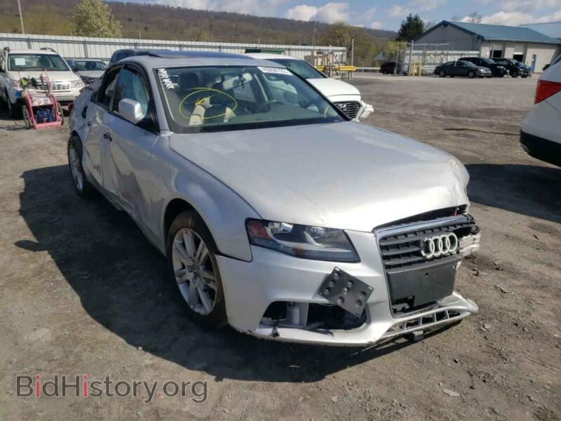 2011 Audi A4 A4 Premium (VIN WAUAFAFL8BN033244) — фото 1 из 10, Copart, повреждение: по всему кузову