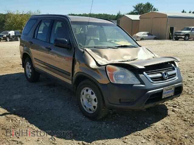 Фотография SHSRD78493U121233 - HONDA CRV 2003