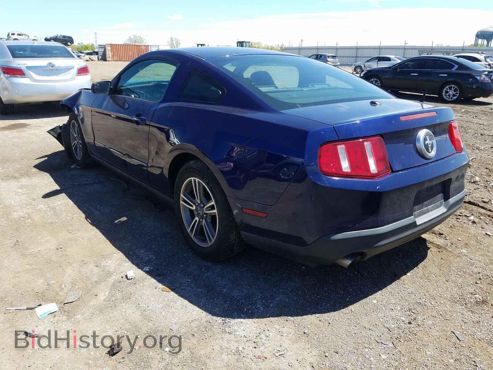 2011 FORD MUSTANG - VIN: 1ZVBP8AM4B5156677 - Фото 3