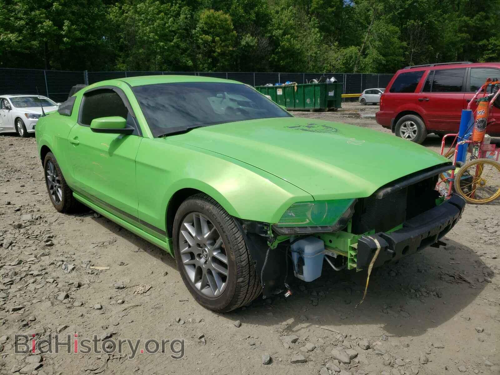 Photo 1ZVBP8AM5D5254572 - FORD MUSTANG 2013
