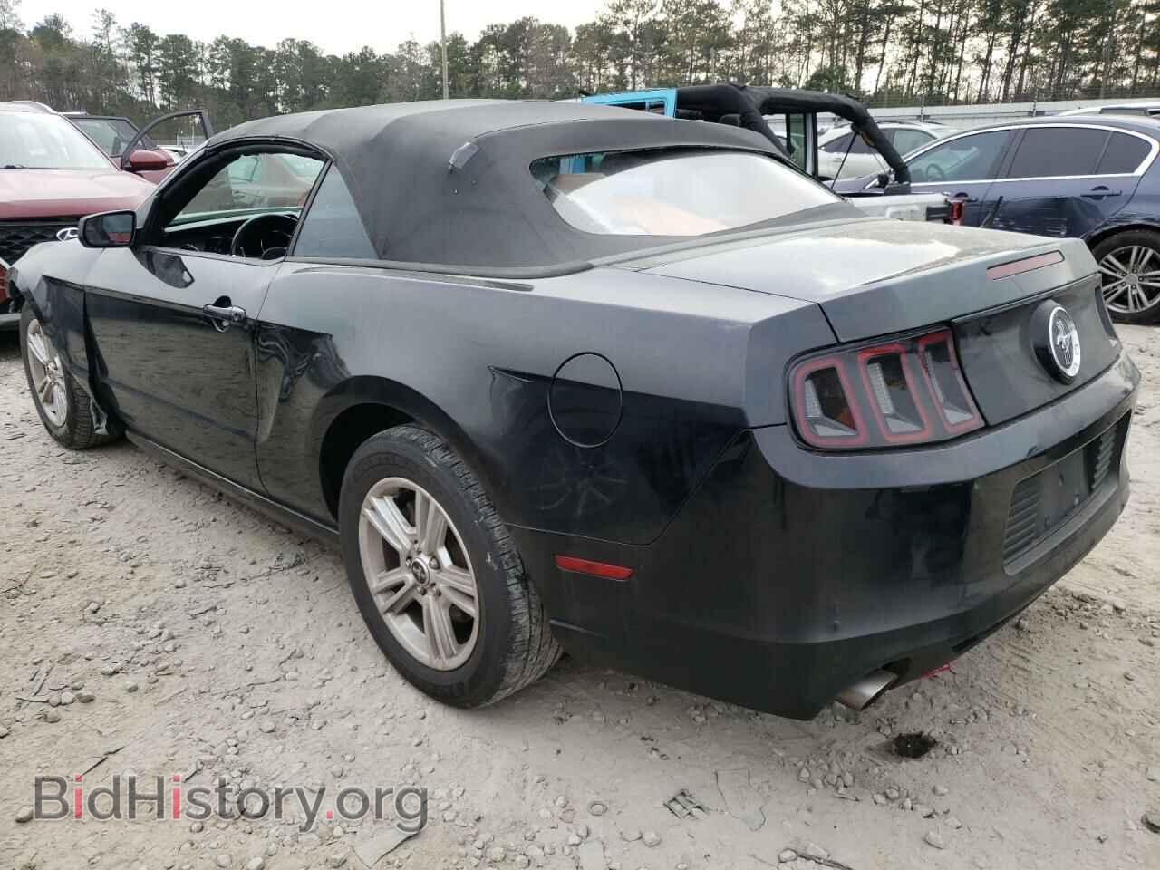 2013 FORD MUSTANG - VIN: 1ZVBP8EM9D5269926 - Фото 2