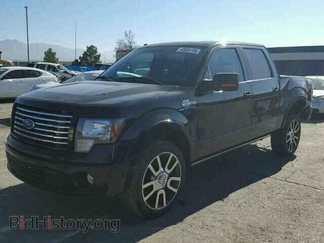 2010 FORD F150 - VIN: 1FTEW1CV2AFA32982 - Фото 2
