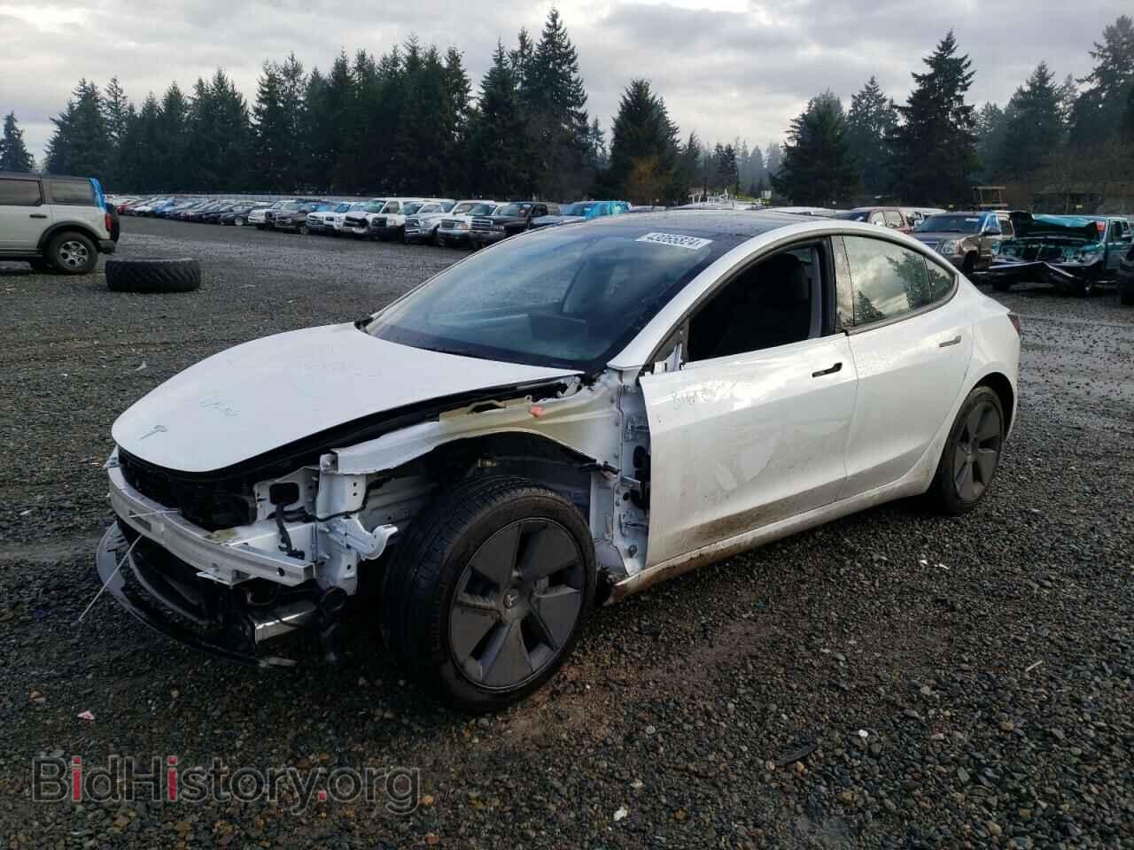 Photo 5YJ3E1EA2PF609155 - TESLA MODEL 3 2023