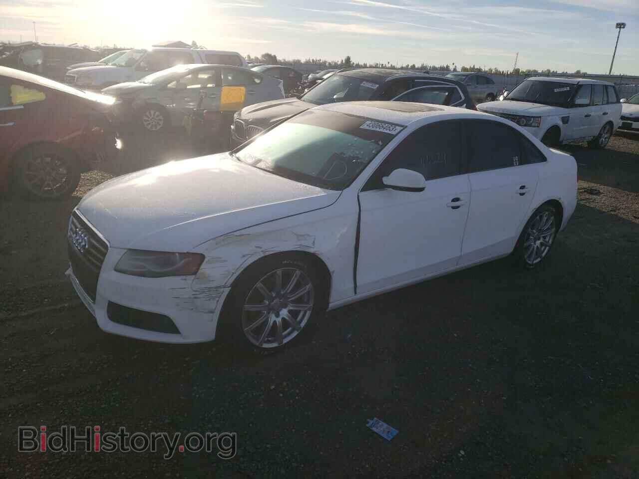 Photo WAUEFAFL0BN000708 - AUDI A4 2011