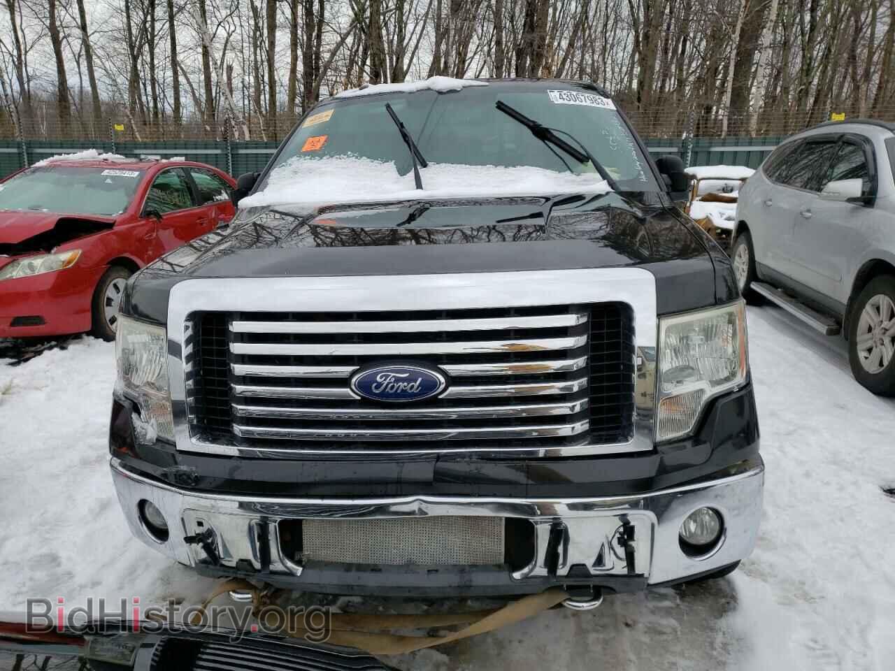 2011 FORD F-150 - VIN: 1FTFW1EF4BFB11615 - Фото 5