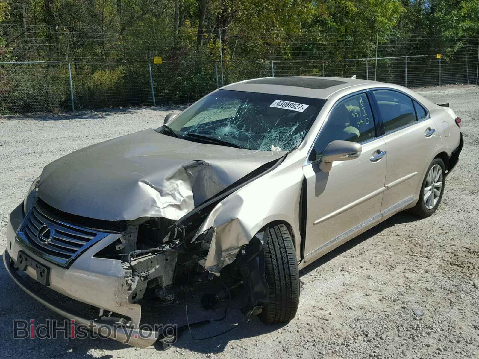 2010 LEXUS ES 350 - VIN: JTHBK1EG8A2407020 - Фото 2