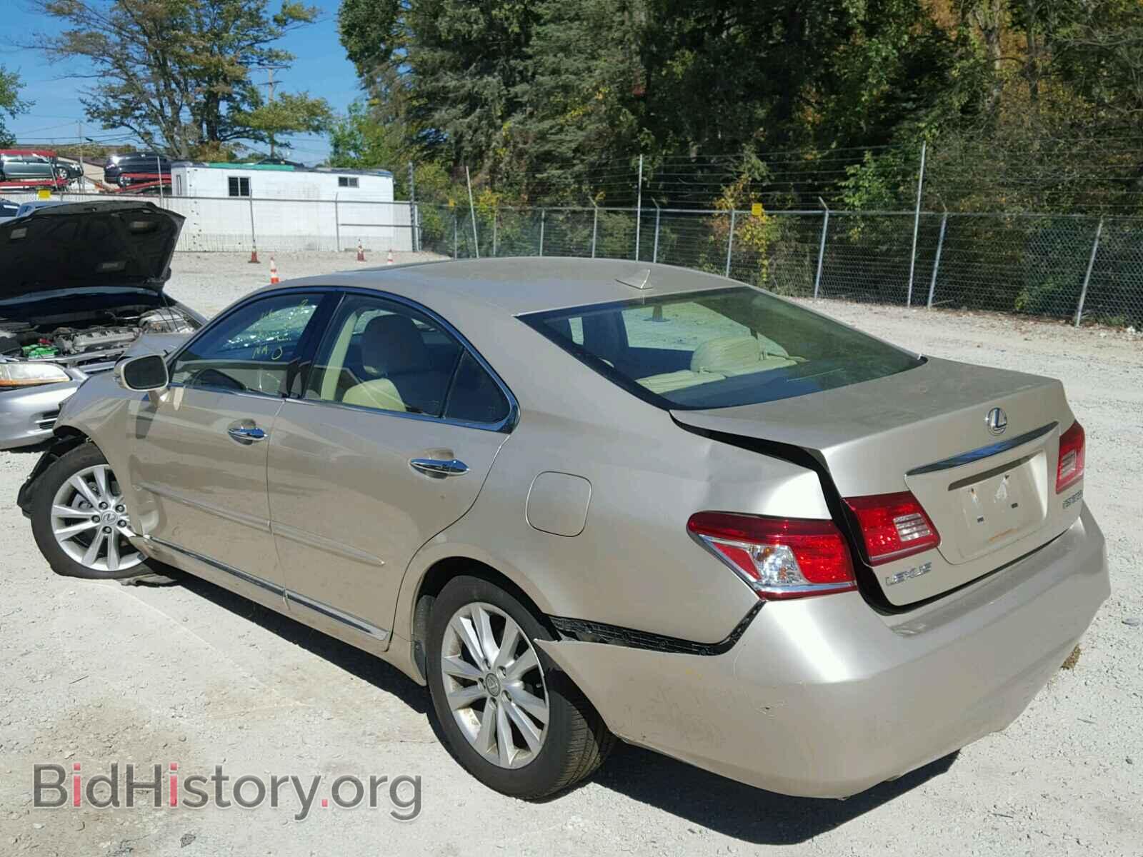 2010 LEXUS ES 350 - VIN: JTHBK1EG8A2407020 - Фото 3