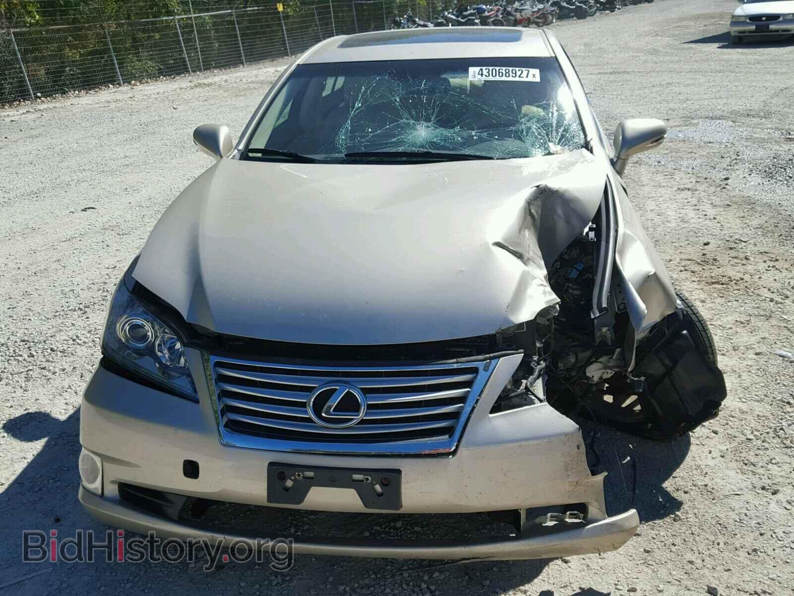 2010 LEXUS ES 350 - VIN: JTHBK1EG8A2407020 - Фото 9
