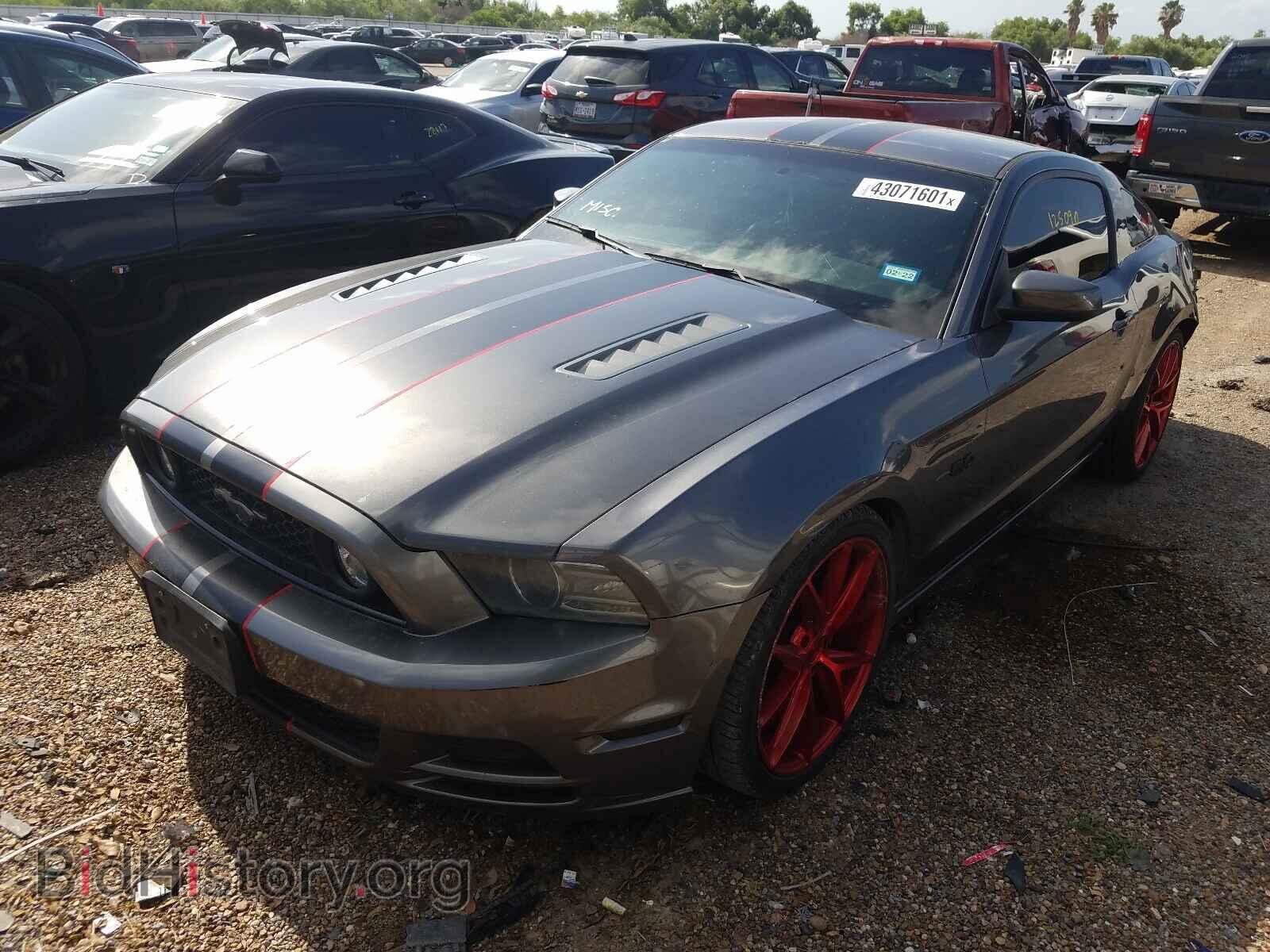 2013 FORD MUSTANG - VIN: 1ZVBP8CF1D5282013 - Фото 2
