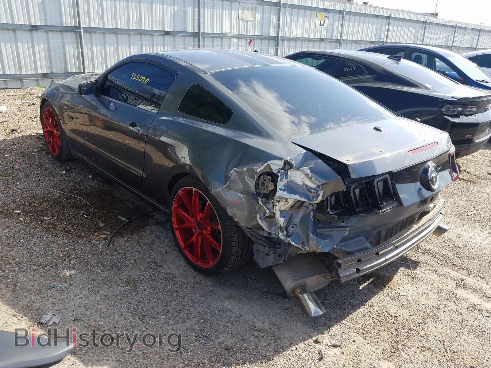 2013 FORD MUSTANG - VIN: 1ZVBP8CF1D5282013 - Фото 3