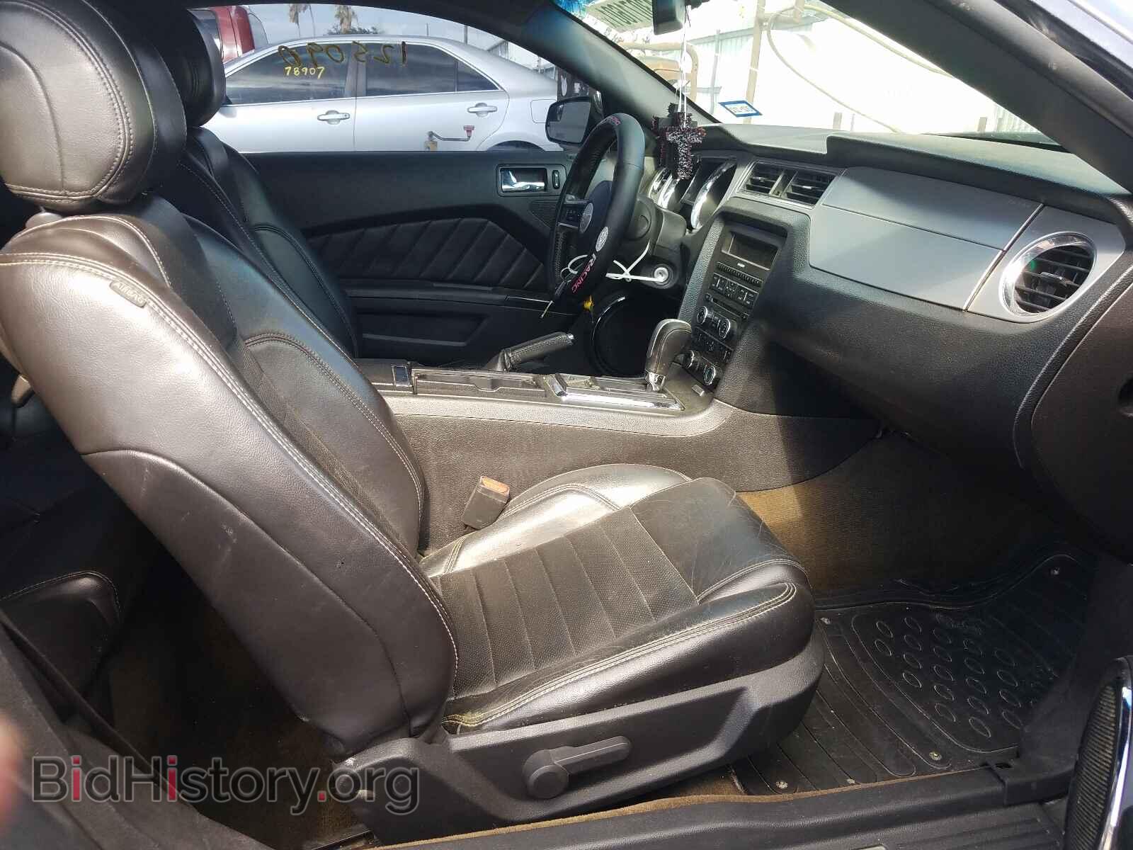 2013 FORD MUSTANG - VIN: 1ZVBP8CF1D5282013 - Фото 5