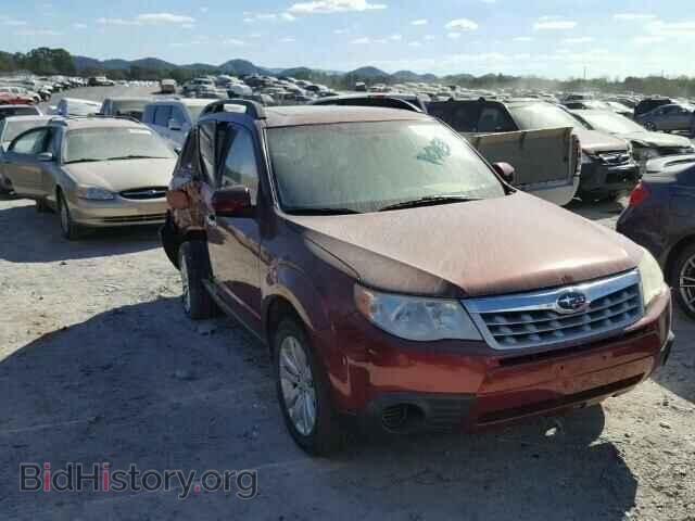 Фотография JF2SHACC6BH704187 - SUBARU FORESTER 2011