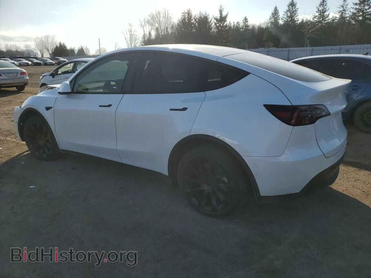 2022 TESLA MODEL Y - VIN: 7SAYGDEE2NF449671 - Фото 2