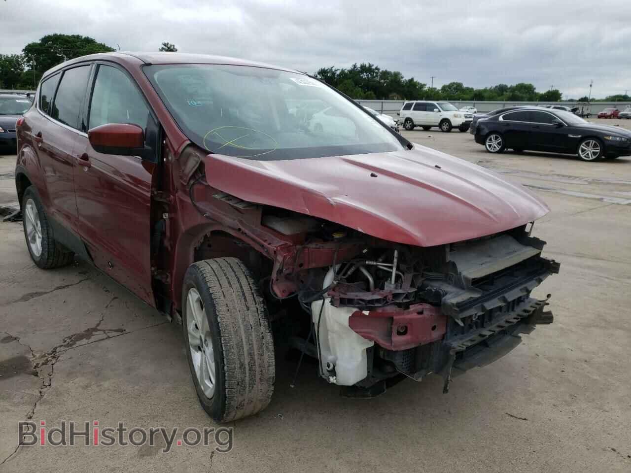 Фотография 1FMCU0GX2EUB61482 - FORD ESCAPE 2014