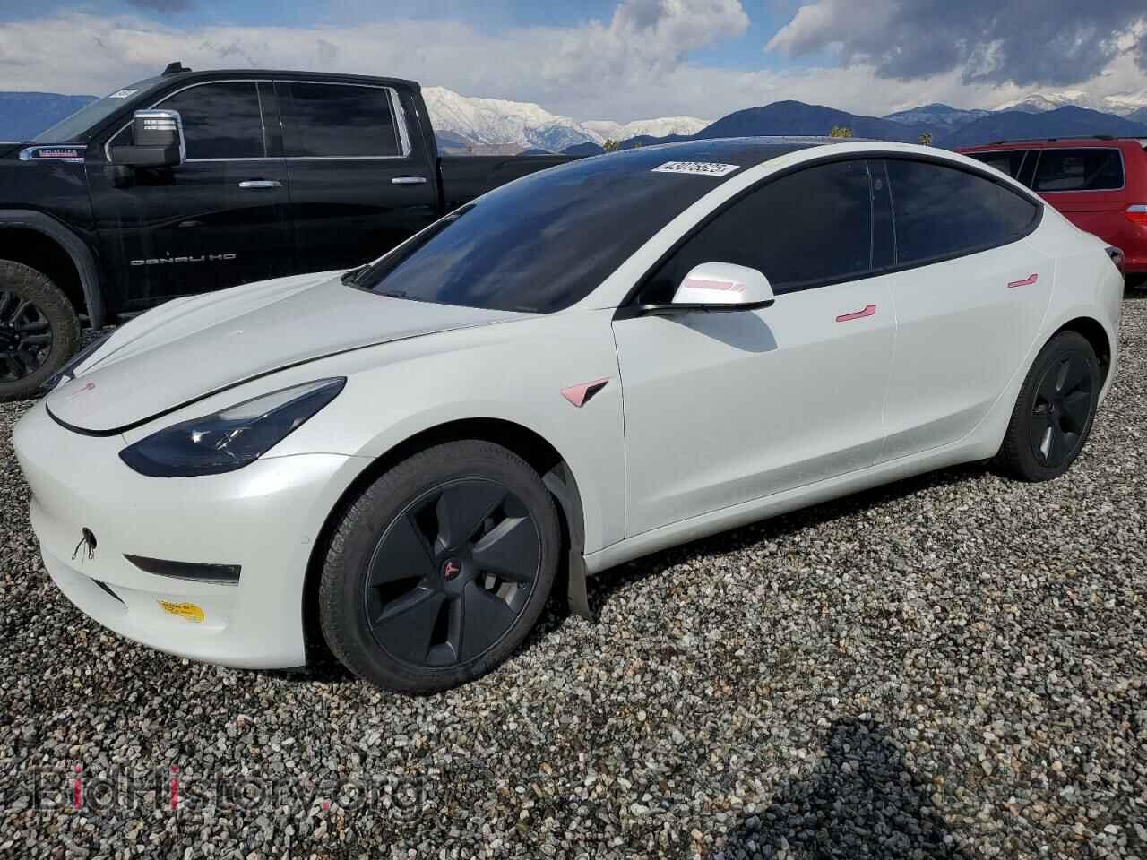 Photo 5YJ3E1EB7MF060329 - TESLA MODEL 3 2021