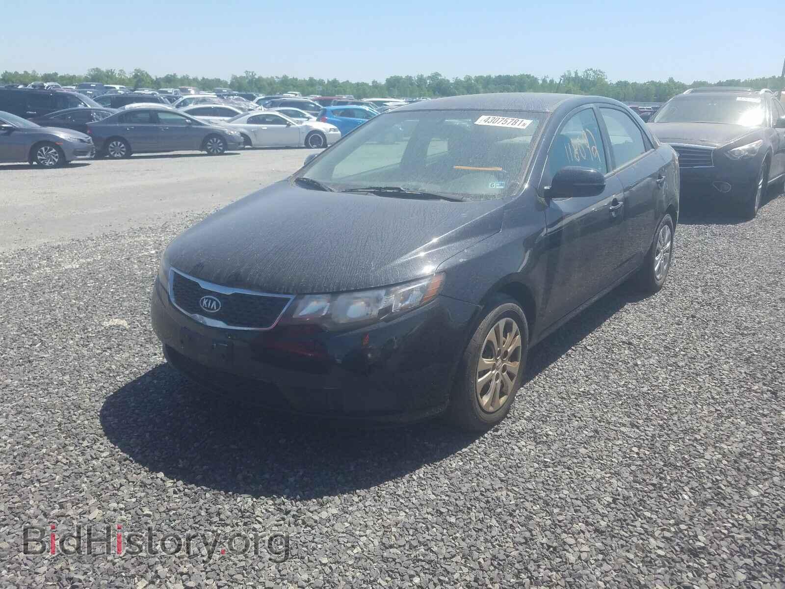 2012 KIA FORTE - VIN: KNAFU4A2XC5583901 - Фото 2