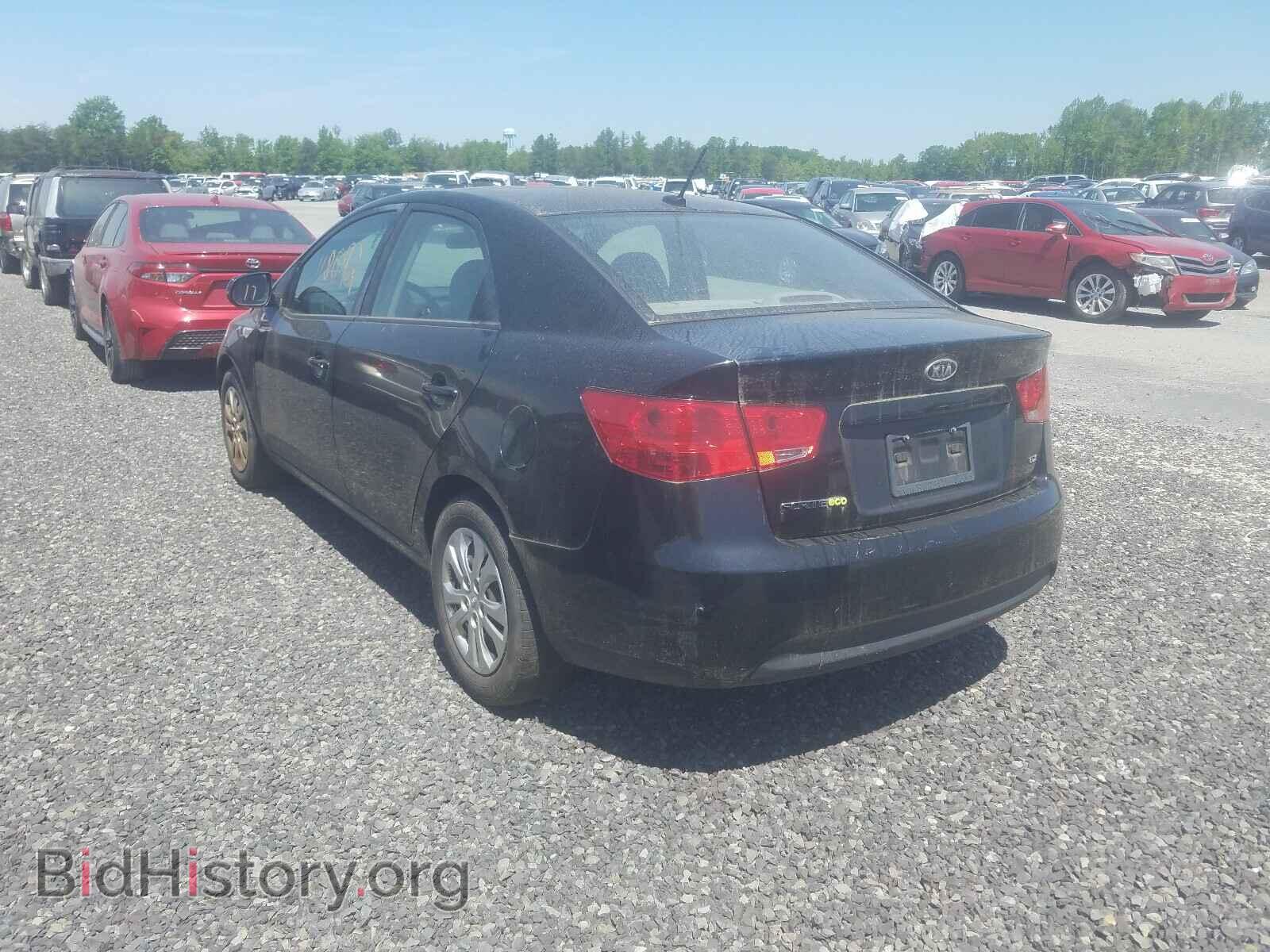 2012 KIA FORTE - VIN: KNAFU4A2XC5583901 - Фото 3