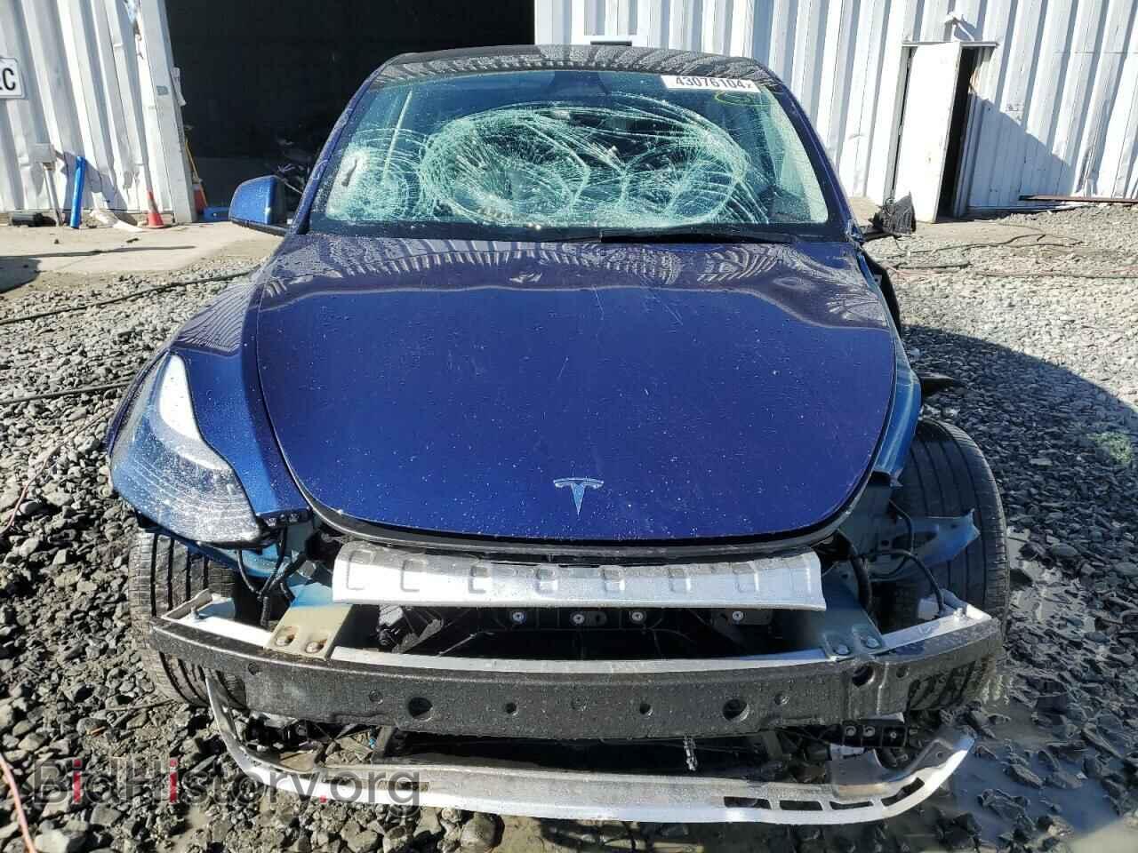 2023 TESLA MODEL Y - VIN: 7SAYGDEE8PF764235 - Фото 5