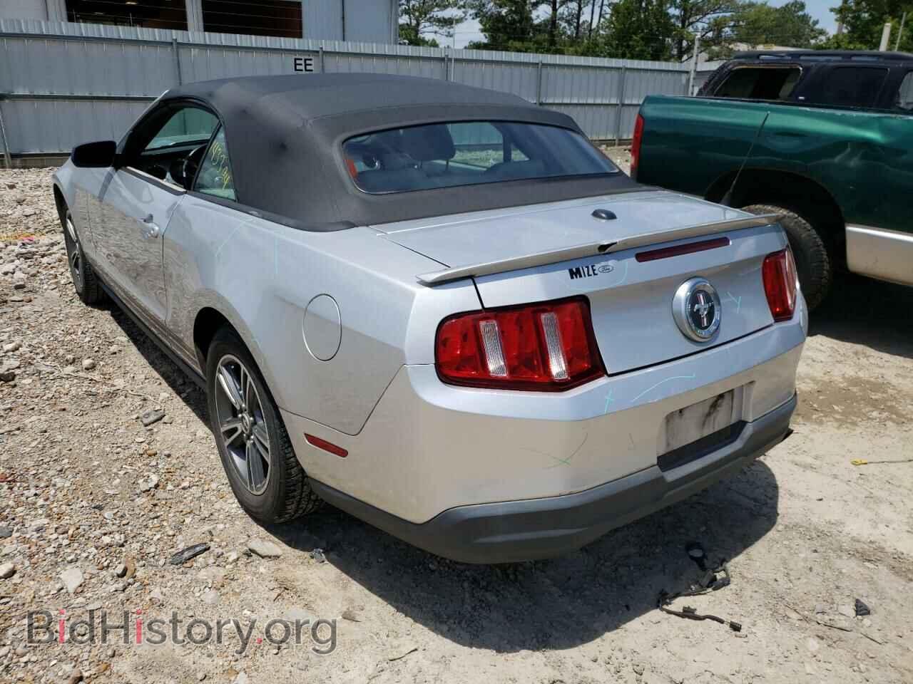 2010 FORD MUSTANG - VIN: 1ZVBP8EN8A5127667 - Фото 3