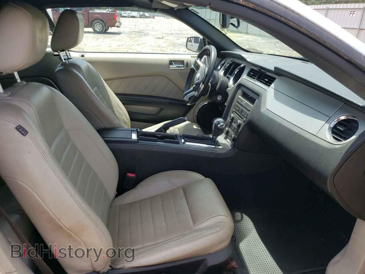 2010 FORD MUSTANG - VIN: 1ZVBP8EN8A5127667 - Фото 5