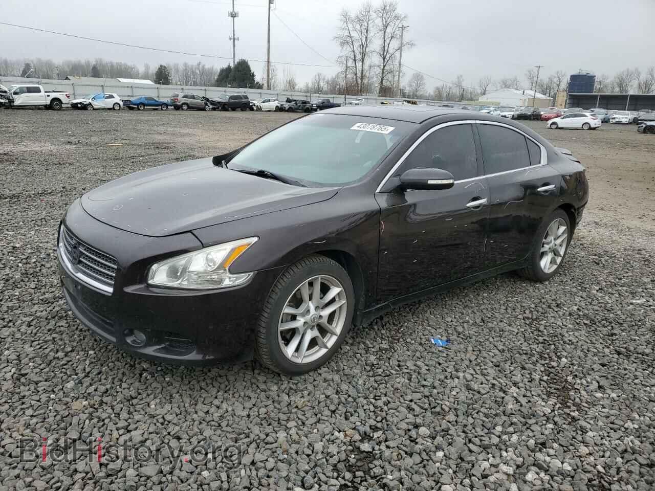 Фотография 1N4AA5AP4AC838208 - NISSAN MAXIMA 2010