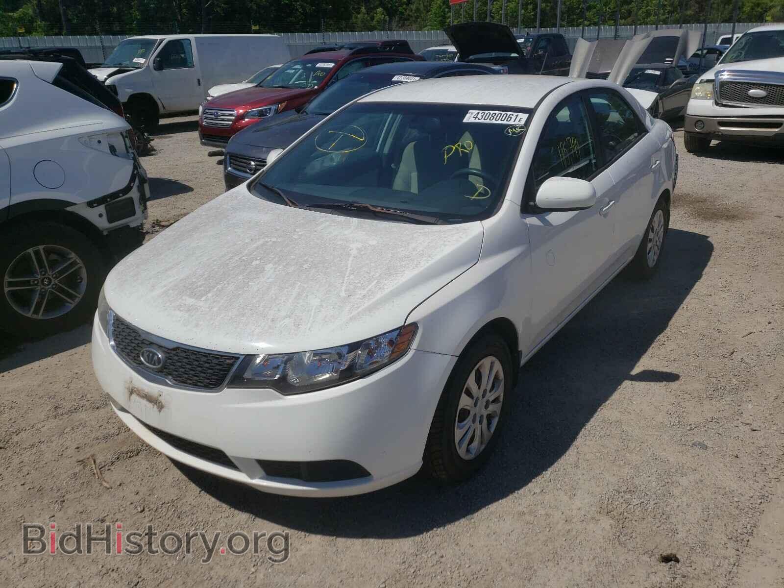 2011 KIA FORTE - VIN: KNAFT4A26B5343049 - Фото 2