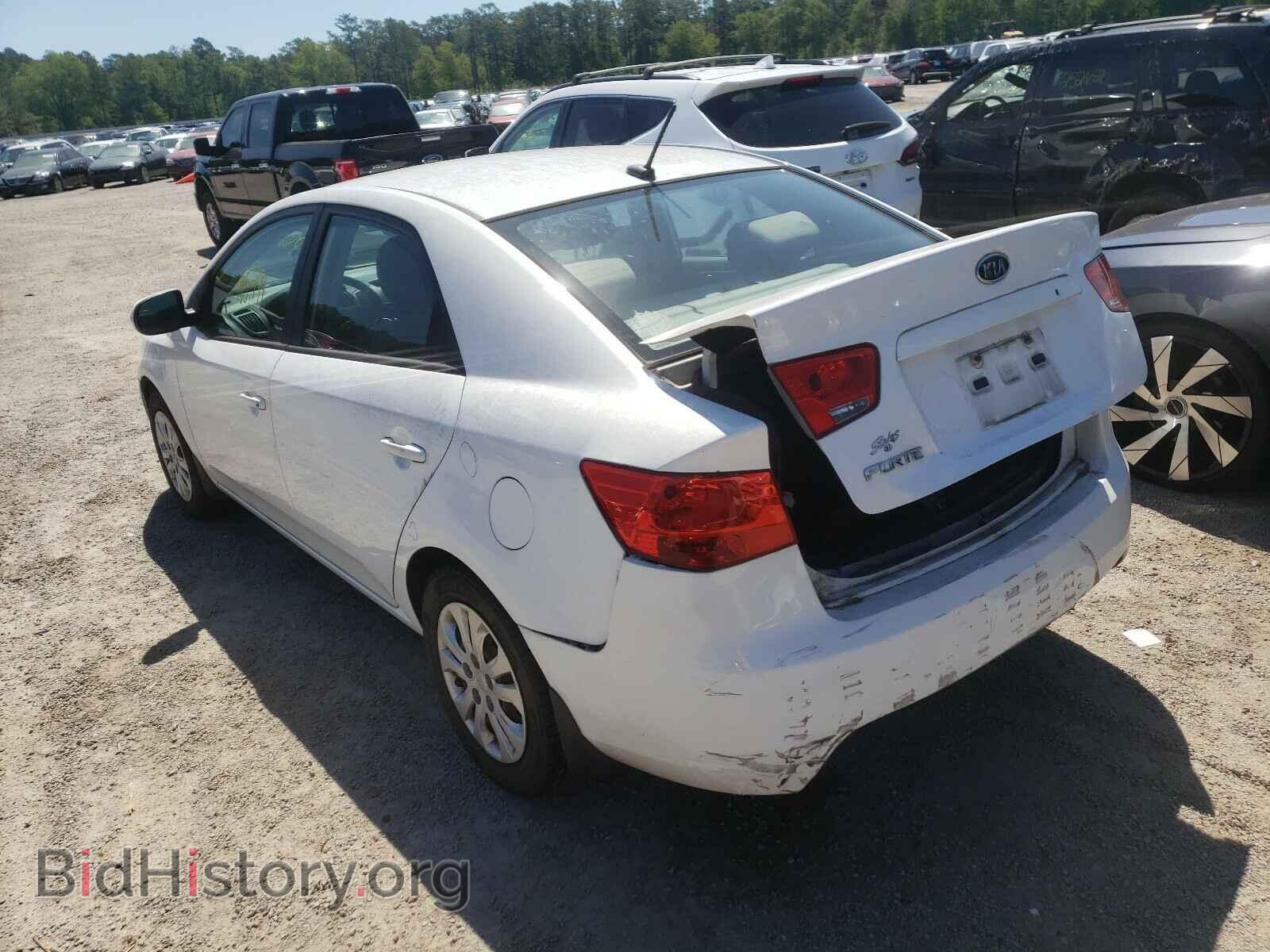 2011 KIA FORTE - VIN: KNAFT4A26B5343049 - Фото 3
