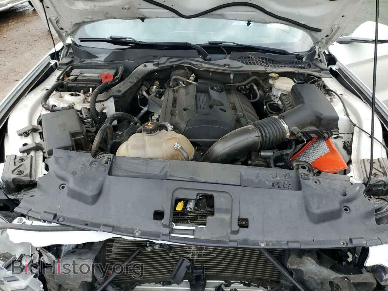 2020 FORD ALL Models - VIN: 1FA6P8TH2L5120112 - Фото 12