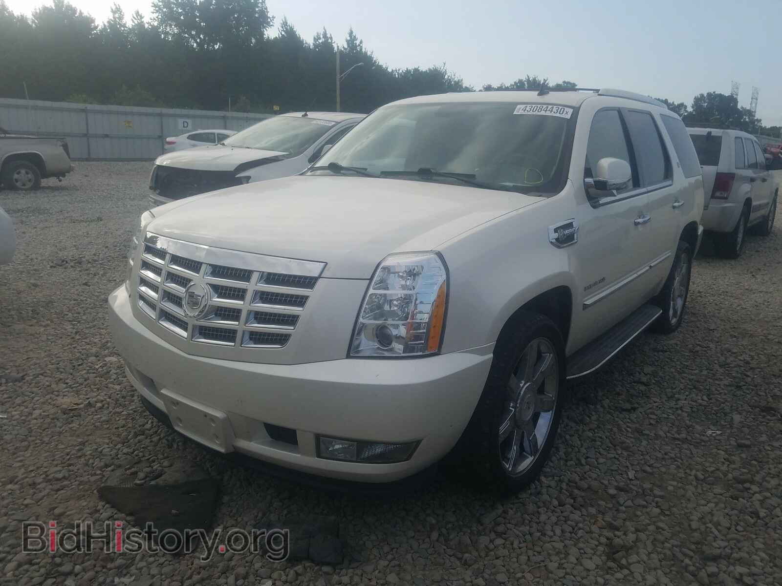 2011 CADILLAC ESCALADE - VIN: 1GYS4EEJ8BR206980 - Фото 2