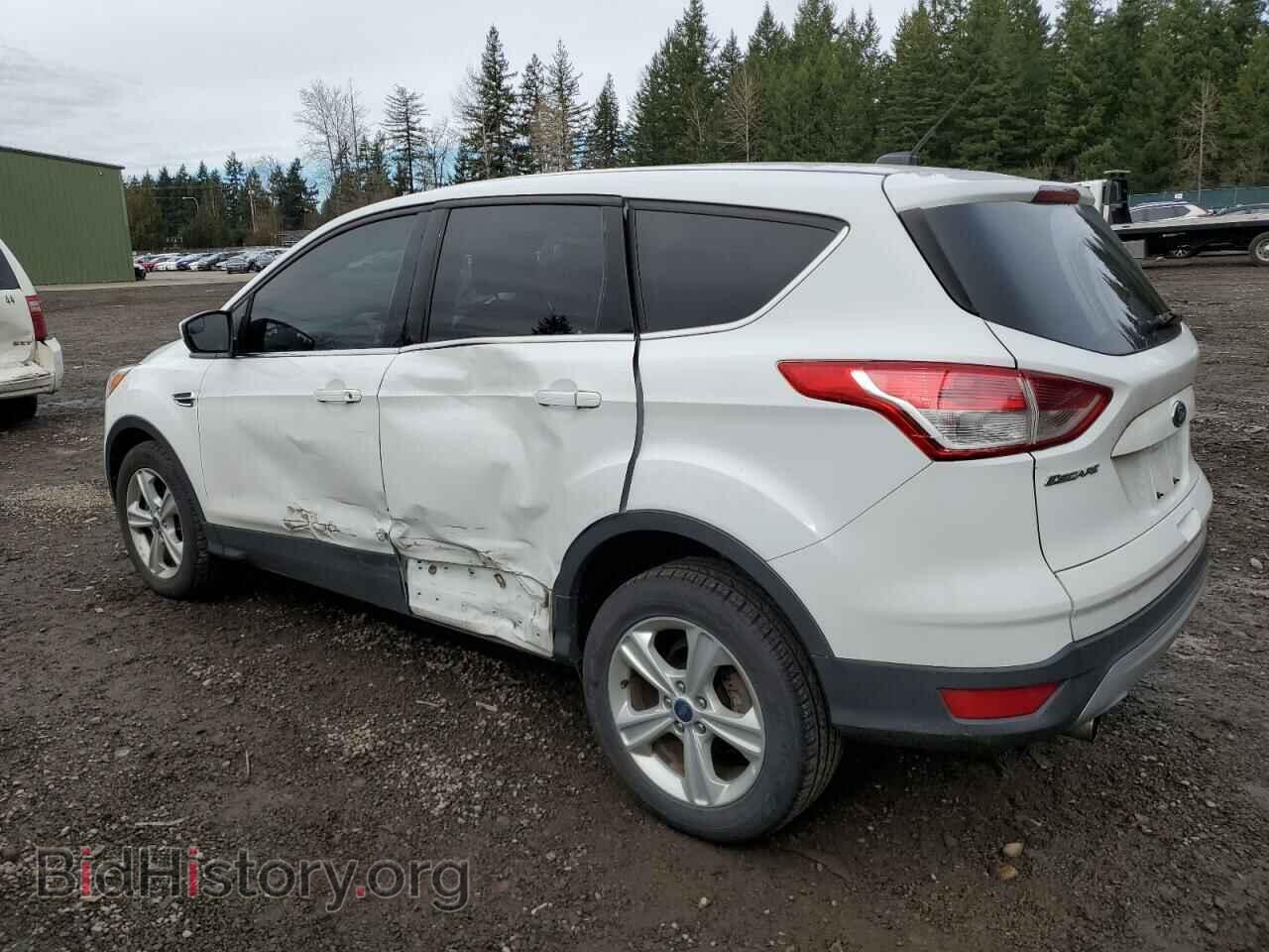 2013 FORD ESCAPE - VIN: 1FMCU9GX2DUA73387 - Фото 2