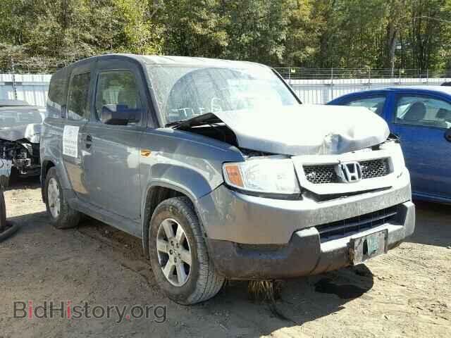 Photo 5J6YH2H74AL008346 - HONDA ELEMENT 2010