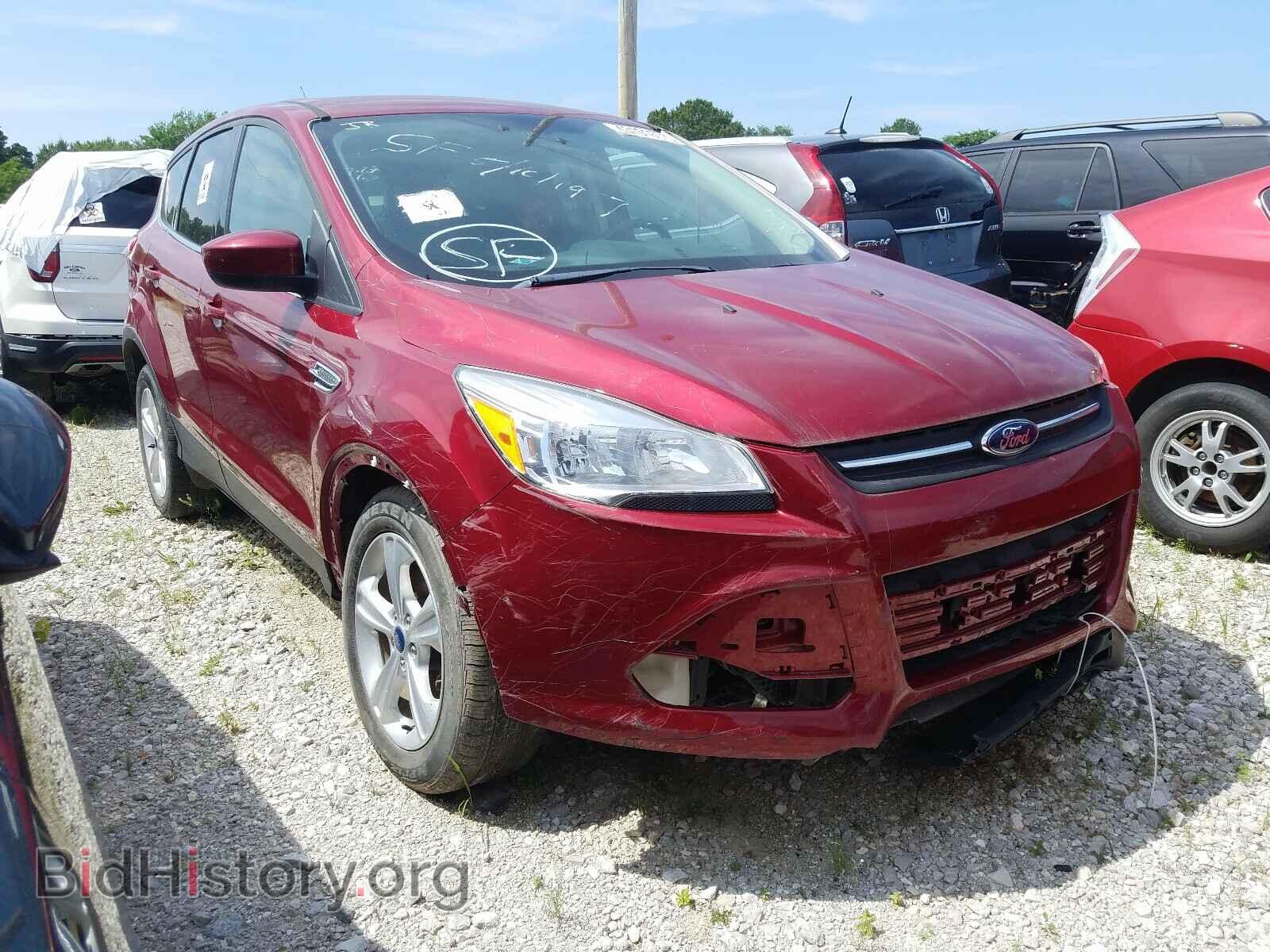 Фотография 1FMCU0GX1DUD92288 - FORD ESCAPE 2013