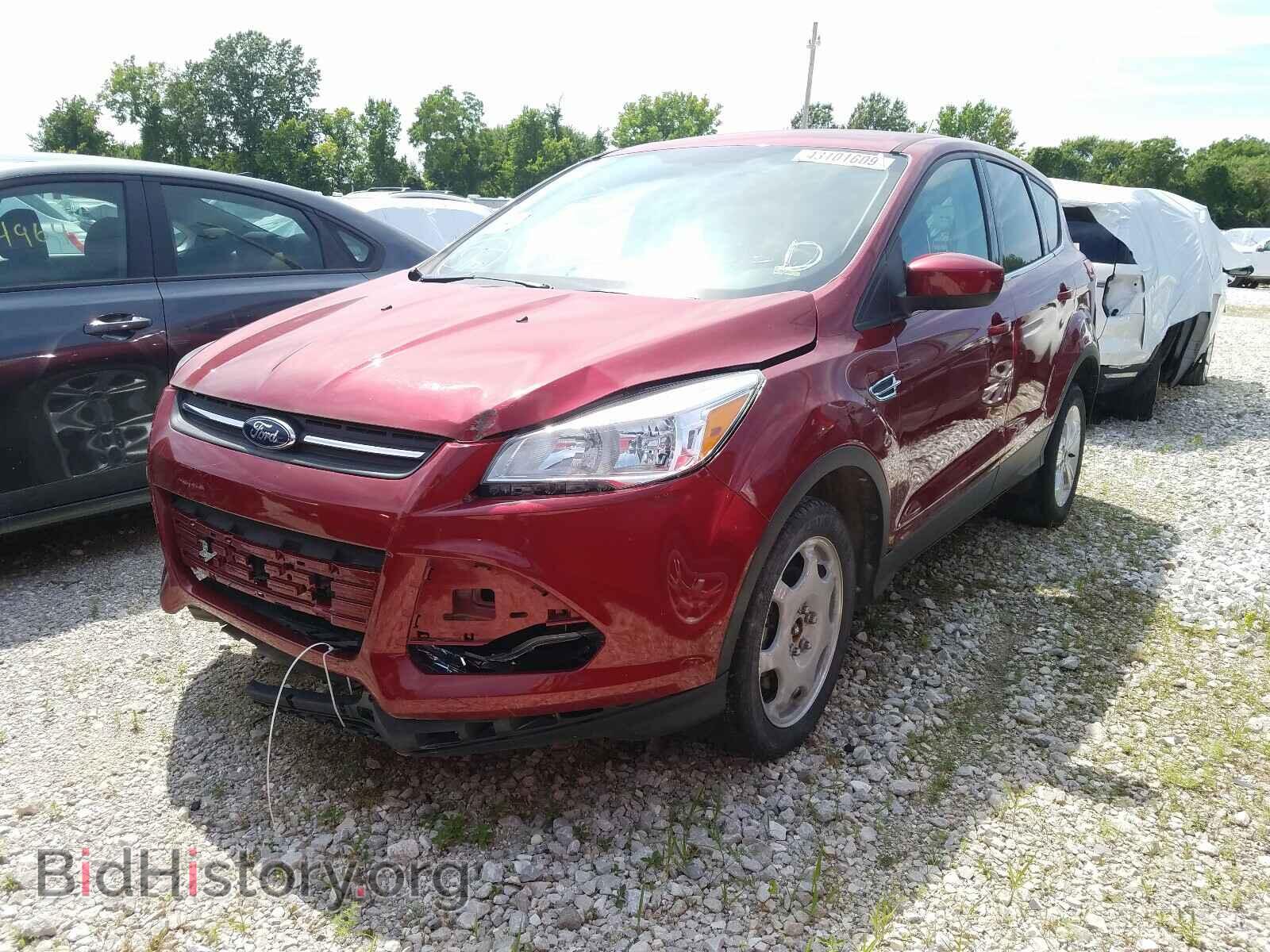 2013 FORD ESCAPE - VIN: 1FMCU0GX1DUD92288 - Фото 2